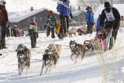 Lenk 2012 SM